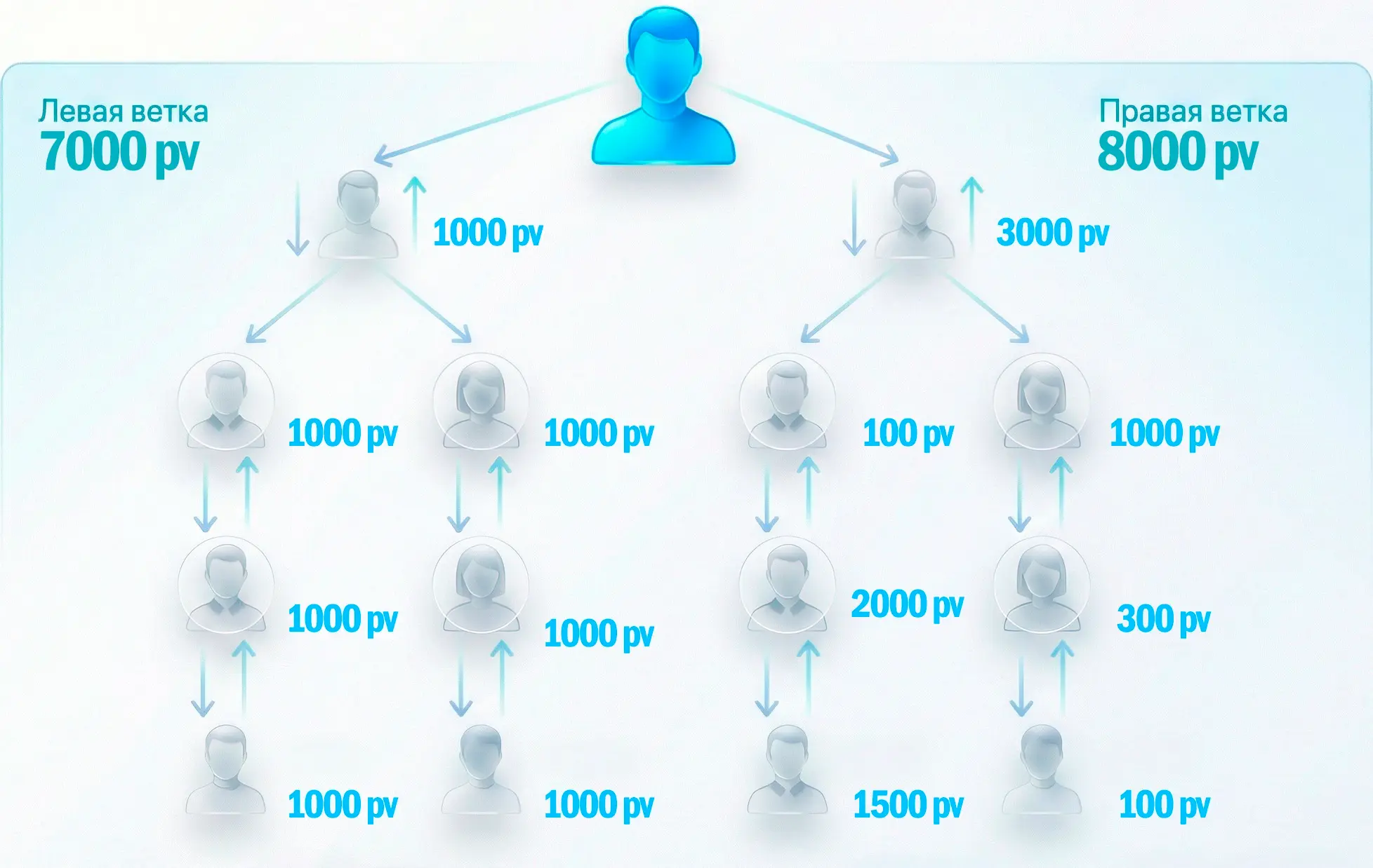 Бинарная структура Atomy